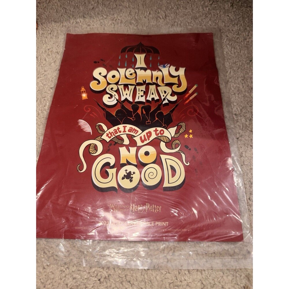 Universal Studios Harry Potter Passholder Collectible Art Print New 2023 UOAP
